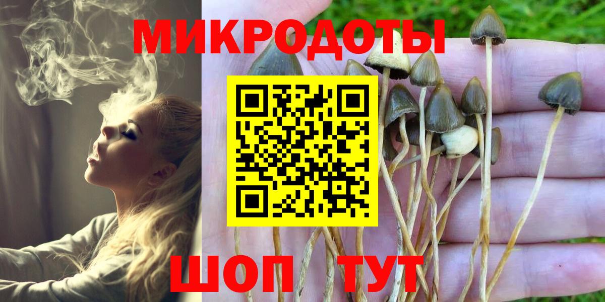 Псилоцибиновые грибы прущие грибы  Вход с VPN  Рубцовск  Псилоцибиновые грибы MAGIC MUSHROOMS 